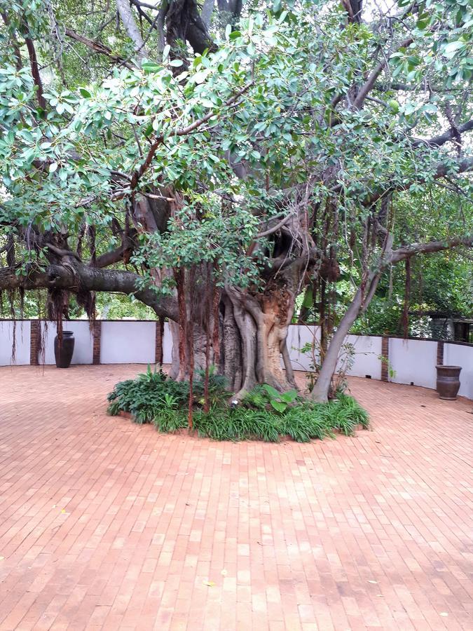 Bush Lovers Lodge Modimolle Exterior photo